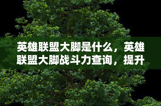英雄联盟大脚是什么，英雄联盟大脚战斗力查询，提升游戏竞技水平的关键工具