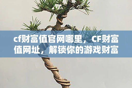 cf财富值官网哪里，CF财富值网址，解锁你的游戏财富