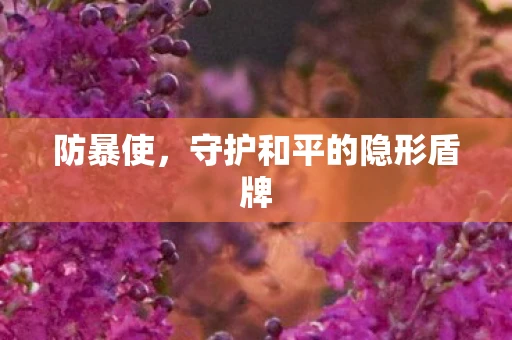 防暴使，守护和平的隐形盾牌