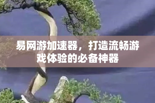 易网游加速器，打造流畅游戏体验的必备神器
