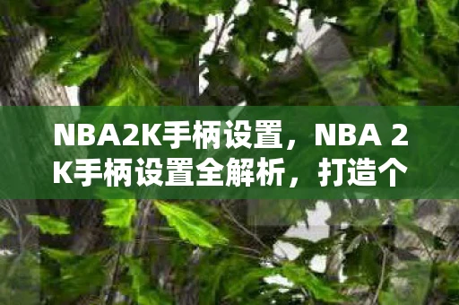 NBA2K手柄设置，NBA 2K手柄设置全解析，打造个性化游戏体验