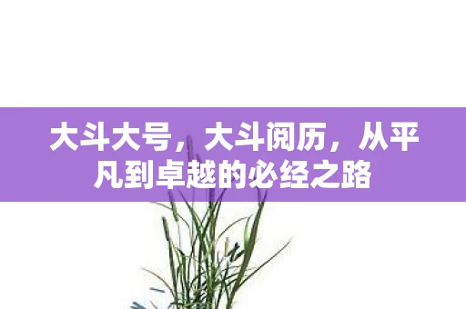 大斗大号,大斗阅历,从平凡到卓越的必经之路 大斗大号,大斗阅历,从平凡到卓越的必经之路