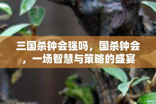 三国杀钟会强吗,国杀钟会,一场智慧与策略的盛宴 三国杀钟会强吗,国杀钟会,一场智慧与策略的盛宴