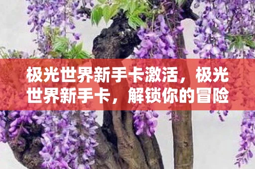 极光世界新手卡激活，极光世界新手卡，解锁你的冒险之旅