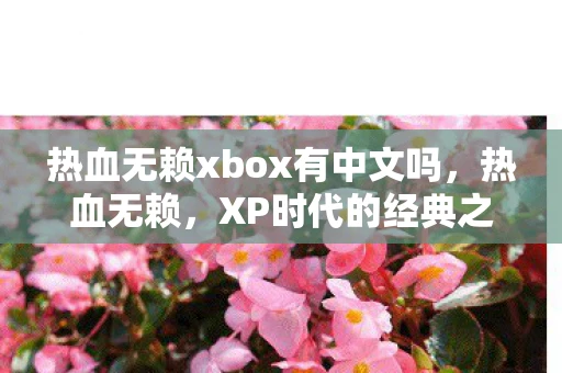 热血无赖xbox有中文吗，热血无赖，XP时代的经典之作