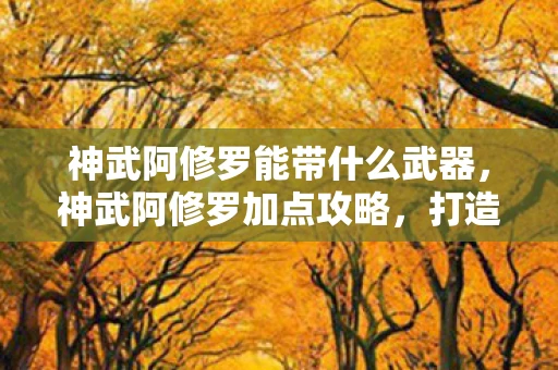 神武阿修罗能带什么武器，神武阿修罗加点攻略，打造最强战斗力的关键