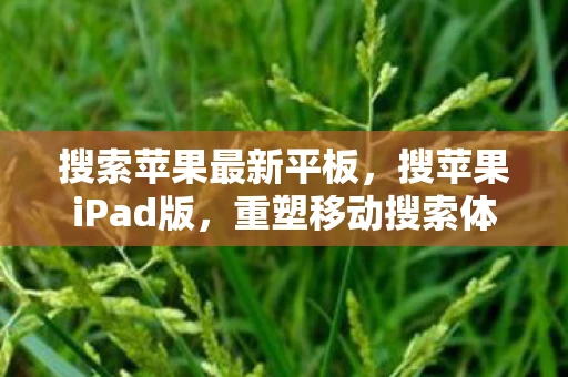 搜索苹果最新平板，搜苹果iPad版，重塑移动搜索体验