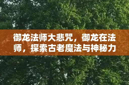 御龙法师大悲咒，御龙在法师，探索古老魔法与神秘力量的奇幻之旅