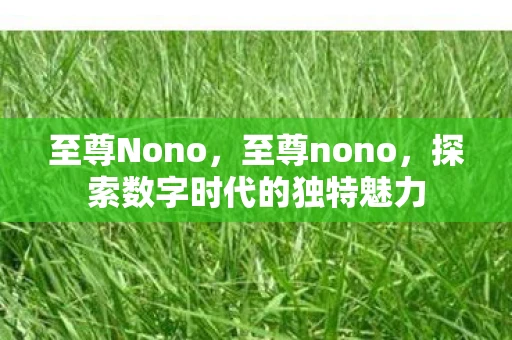 至尊Nono,至尊nono,探索数字时代的独特魅力 至尊Nono,至尊nono,探索数字时代的独特魅力