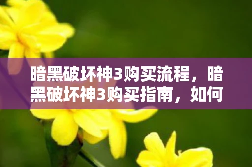 暗黑破坏神3购买流程，暗黑破坏神3购买指南，如何选购最适合你的版本