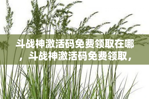 斗战神激活码免费领取在哪，斗战神激活码免费领取，揭秘背后的真相与风险