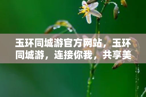 玉环同城游官方网站，玉环同城游，连接你我，共享美好