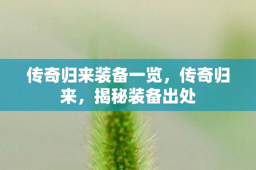 传奇归来装备一览，传奇归来，揭秘装备出处