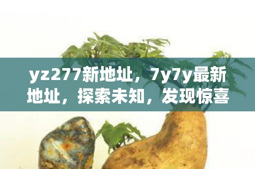 yz277新地址,7y7y最新地址,探索未知,发现惊喜 yz277新地址,7y7y最新地址,探索未知,发现惊喜