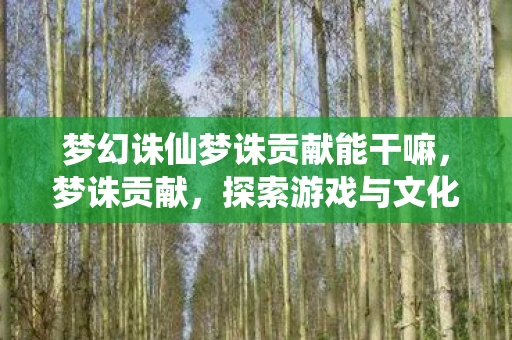 梦幻诛仙梦诛贡献能干嘛，梦诛贡献，探索游戏与文化的深度交融
