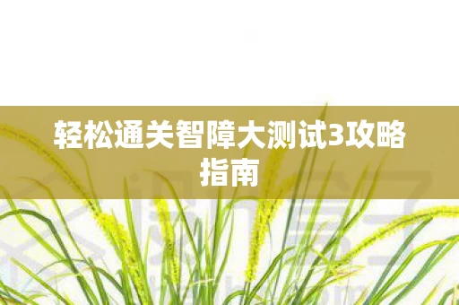 轻松通关智障大测试3攻略指南图片