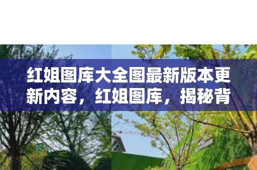 红姐图库大全图最新版本更新内容，红姐图库，揭秘背后的故事