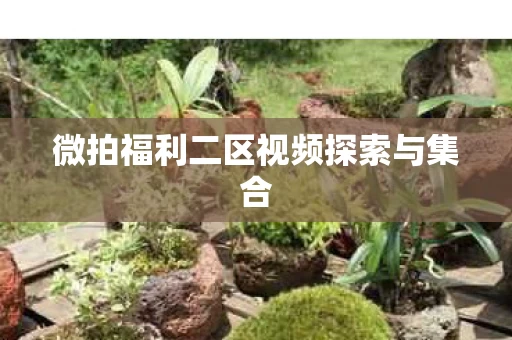 微拍福利二区视频探索与集合图片
