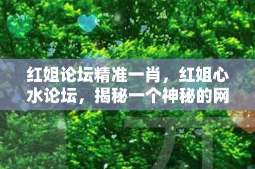 红姐论坛精准一肖，红姐心水论坛，揭秘一个神秘的网络社区