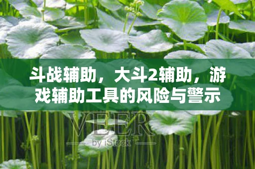 斗战辅助，大斗2辅助，游戏辅助工具的风险与警示