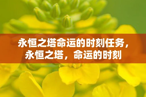 永恒之塔命运的时刻任务,永恒之塔,命运的时刻 永恒之塔命运的时刻任务,永恒之塔,命运的时刻