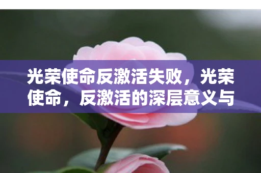 光荣使命反激活失败，光荣使命，反激活的深层意义与战略价值