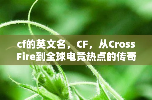 cf的英文名，CF，从CrossFire到全球电竞热点的传奇之旅