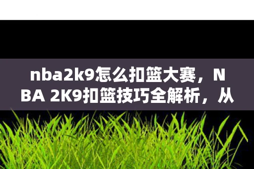 nba2k9怎么扣篮大赛，NBA 2K9扣篮技巧全解析，从菜鸟到扣将的飞跃