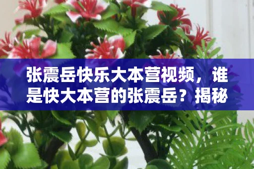 张震岳快乐大本营视频，谁是快大本营的张震岳？揭秘他的音乐之路与综艺风采