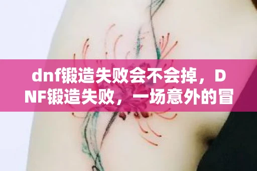 dnf锻造失败会不会掉，DNF锻造失败，一场意外的冒险