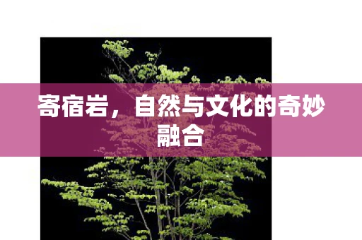 寄宿岩，自然与文化的奇妙融合