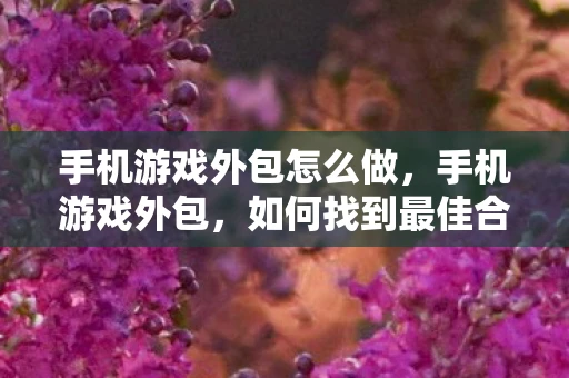手机游戏外包怎么做，手机游戏外包，如何找到最佳合作伙伴并成功实施项目