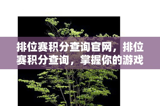 排位赛积分查询官网，排位赛积分查询，掌握你的游戏进度