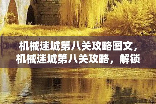 机械迷城第八关攻略图文，机械迷城第八关攻略，解锁谜题，迈向胜利