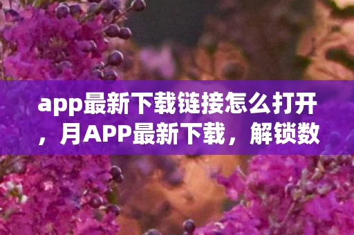 app最新下载链接怎么打开，月APP最新下载，解锁数字时代的新潮流