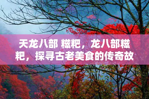 天龙八部 糍粑，龙八部糍粑，探寻古老美食的传奇故事