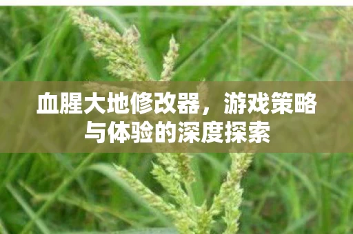 游戏策略与体验的深度探索图片