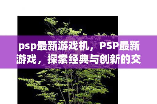 psp最新游戏机，PSP最新游戏，探索经典与创新的交汇点