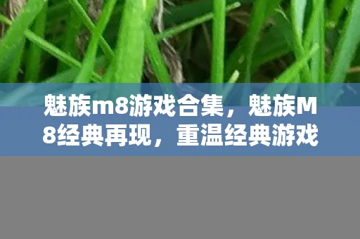 魅族m8游戏合集,魅族M8经典再现,重温经典游戏,感受独特魅力 魅族m8游戏合集,魅族M8经典再现,重温经典游戏,感受独特魅力