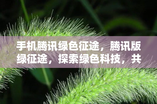 手机腾讯绿色征途,腾讯版绿征途,探索绿色科技,共筑可持续未来 手机腾讯绿色征途,腾讯版绿征途,探索绿色科技,共筑可持续未来