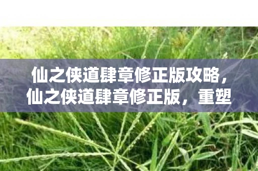 仙之侠道肆章修正版攻略，仙之侠道肆章修正版，重塑经典，再续传奇