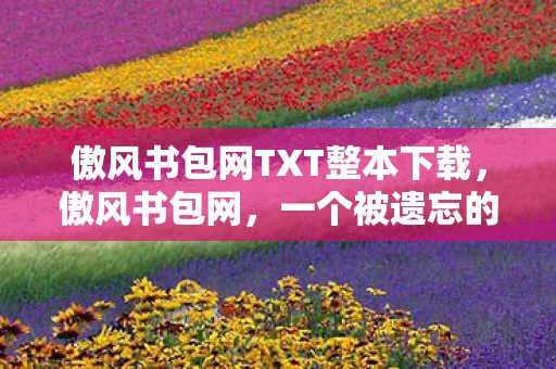 傲风书包网TXT整本下载，傲风书包网，一个被遗忘的宝藏