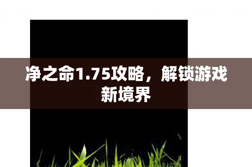 净之命1.75攻略，解锁游戏新境界