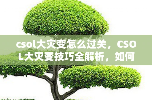 csol大灾变怎么过关,CSOL大灾变技巧全解析,如何在末日世界中生存 csol大灾变怎么过关,CSOL大灾变技巧全解析,如何在末日世界中生存