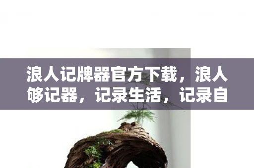 浪人记牌器官方下载，浪人够记器，记录生活，记录自己