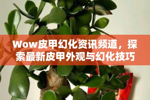 探索最新皮甲外观与幻化技巧图片