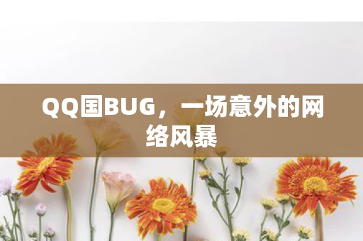 QQ国BUG，一场意外的网络风暴