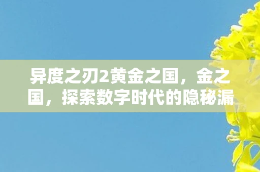 异度之刃2黄金之国,金之国,探索数字时代的隐秘漏洞 异度之刃2黄金之国,金之国,探索数字时代的隐秘漏洞