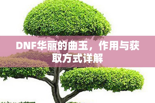 作用与获取方式详解图片