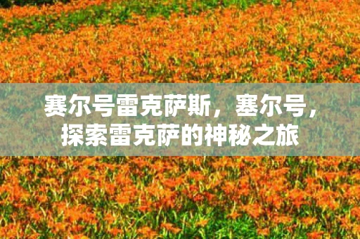 赛尔号雷克萨斯，塞尔号，探索雷克萨的神秘之旅